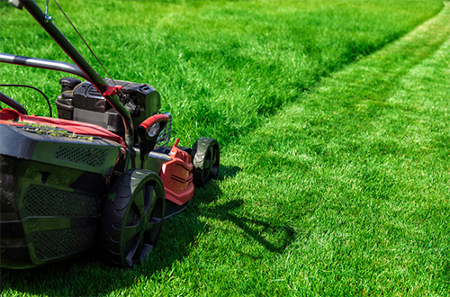 Mowing